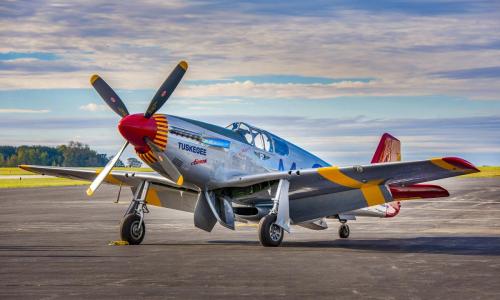 P51 Mustang